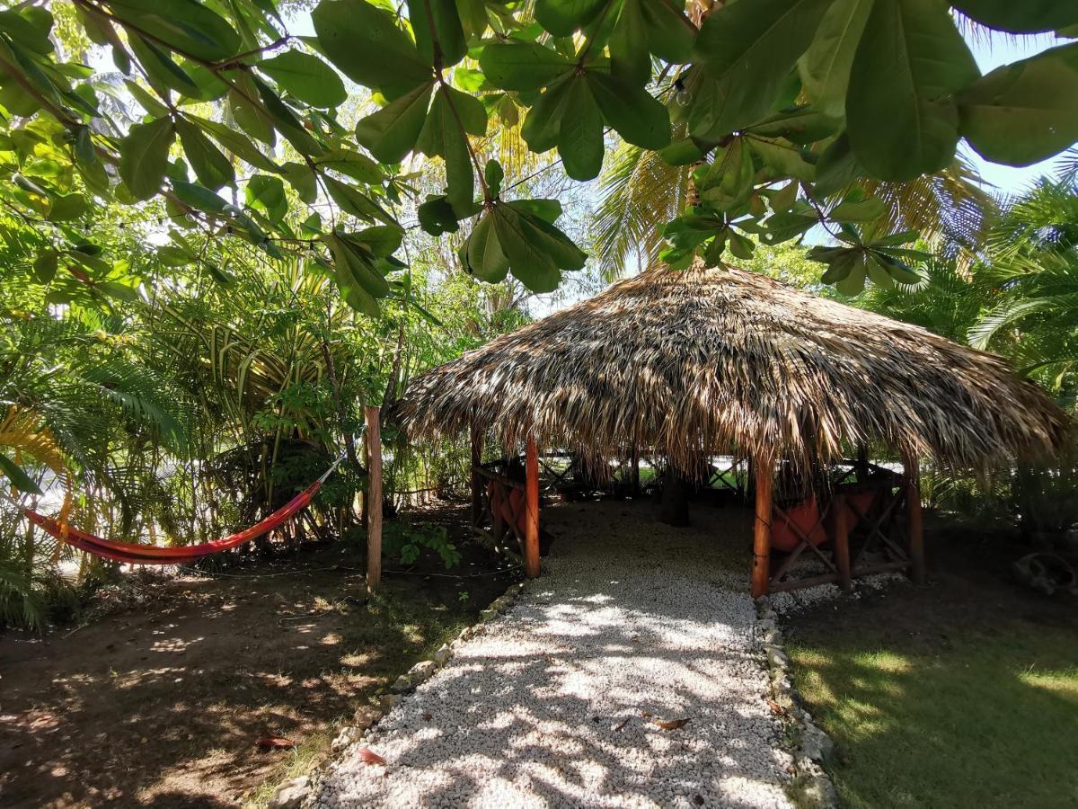 פונטה קאנה Tropical Villas At Los Corales Beach - Caribbean Rentals Fzco מראה חיצוני תמונה