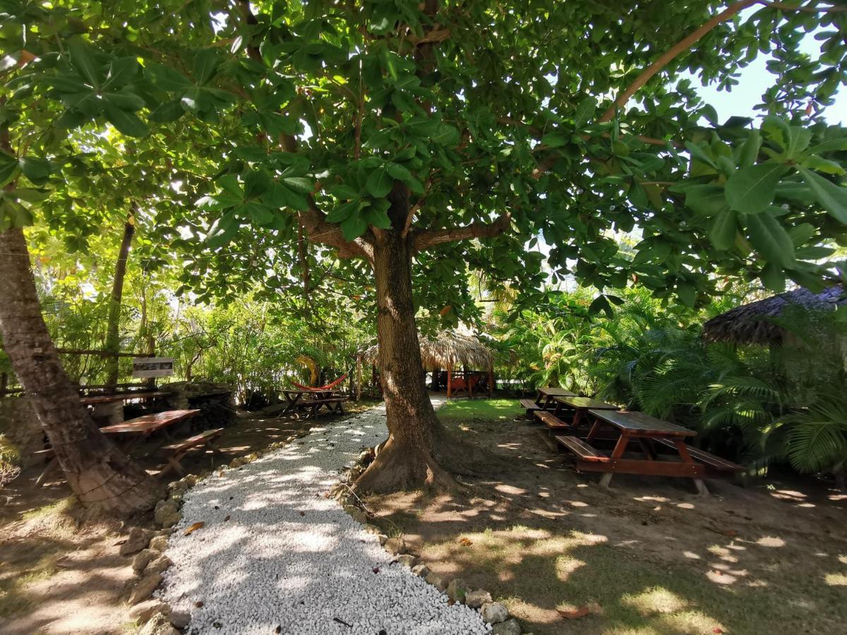 פונטה קאנה Tropical Villas At Los Corales Beach - Caribbean Rentals Fzco מראה חיצוני תמונה